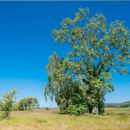 Ferienhaus Mellenthin Ferienhaus Mellenthin * Mellenthin